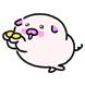 뿔뿔돼지