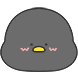 엉뚱쟁이 까아