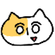 인면 고양이