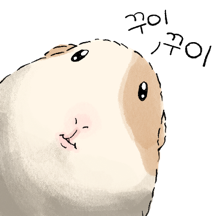 기니티콘이다꾸이