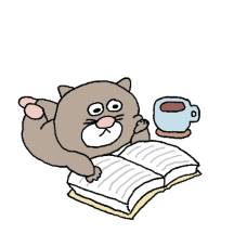 누룩이의 이모저모