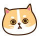 고양이의 속마음