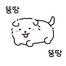 두부상 강쥐