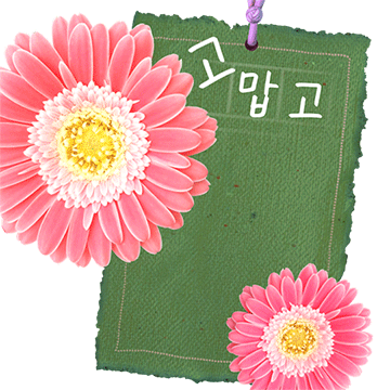 마음담은 꽃갈피톡