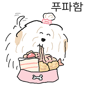 먼털개