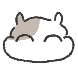 찌부