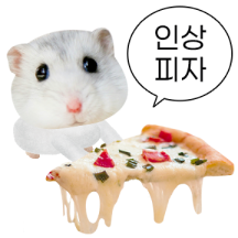 햄찌살이 실사판.png