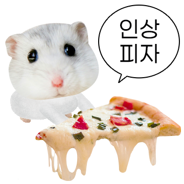 햄찌살이 실사판.png
