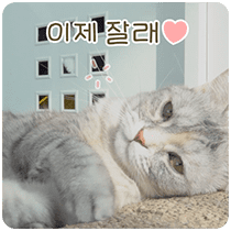 이모티콘 프리뷰