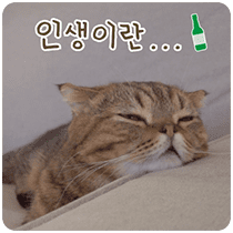 이모티콘 프리뷰
