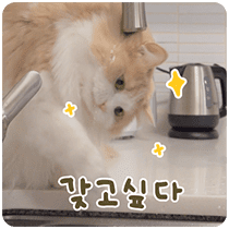 이모티콘 프리뷰