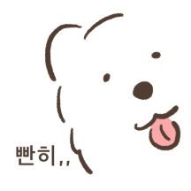 왕털뭉치 사모예드