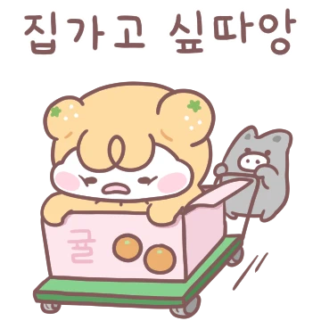 섬마을 집순이 리귤이와 깜이