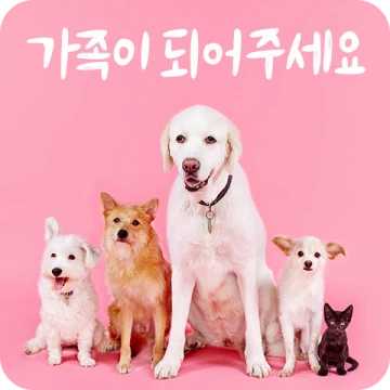 사랑으로 Hug