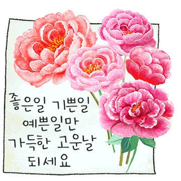 예쁜 꽃 그림 편지