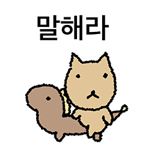 갈색고양이 애옹