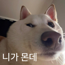 미진이도 할 말이 많다