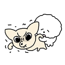 쪼꾸만 개 3