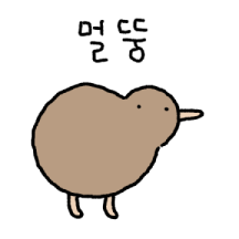 멀뚱키위