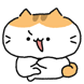 나눈야 고양이