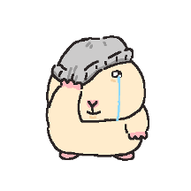 우당탕탕 햄쓱이