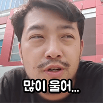 본격 침착맨 짤 모음 2