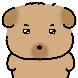 똔개