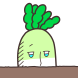 인생 무상