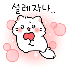 말랑뽀짝 고양이 커플4 (페르시안)