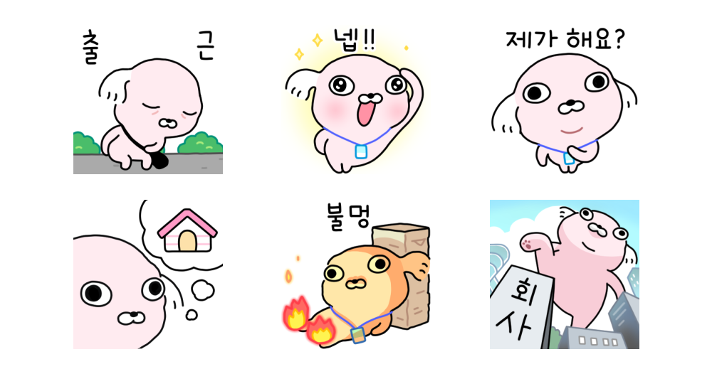 직장개 강사장
