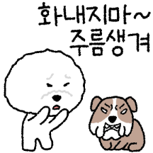 꼬질꼬질 비숑 #화내지마~ 주름생겨