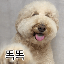 이모티콘 프리뷰