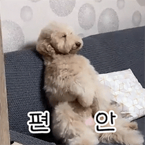 이모티콘 프리뷰