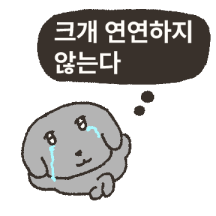 쿨하다.. 회색 쿨개
