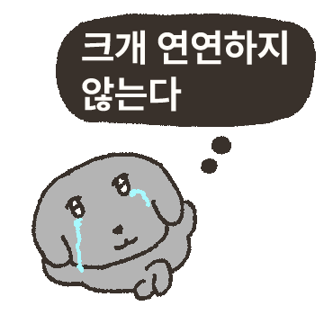 쿨하다.. 회색 쿨개