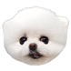 루퐁이네