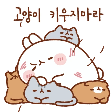 몰랑이는 고양이 집사