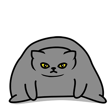그레이 고양이야 6