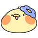 아기 병아리