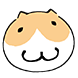 공냥이