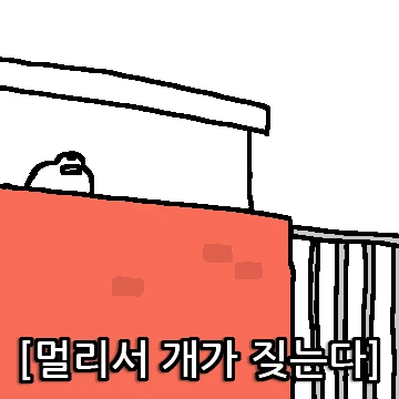 챗플릭스