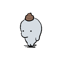 돌고래는 지능이 높다 5