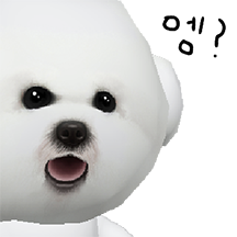 비숑왔숑