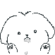 솜콩