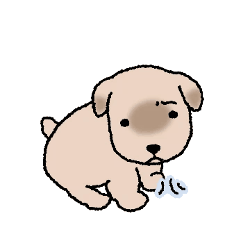 우리집 강지 표dog해요