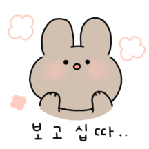 말랑떡 보리토끼