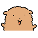 푸둥푸둥 푸들
