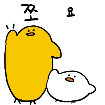 쪼요 이쪼요?