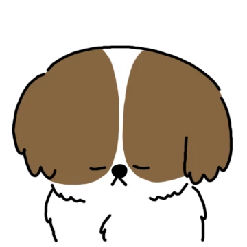 우리집 말티츄