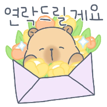 카피바라 카니의 상냥한 하루5